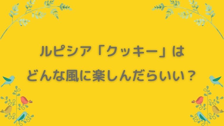 ルピシア　クッキー　感想