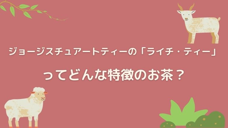 ジョージスチュアートティー　ライチ